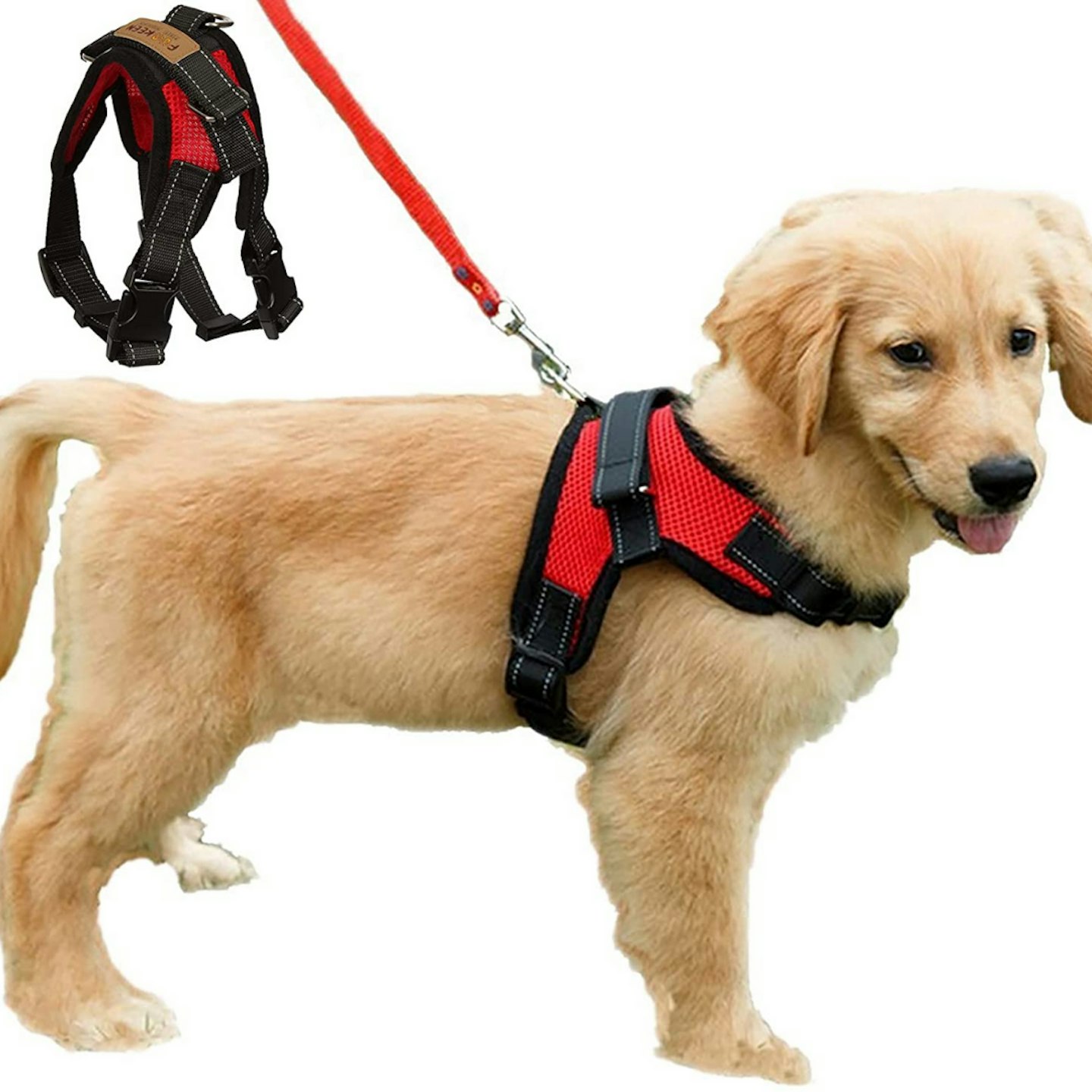 The Best Dog Harnesses To Buy In The UK